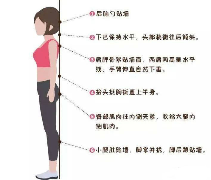 靠墻站立 靠墻站立