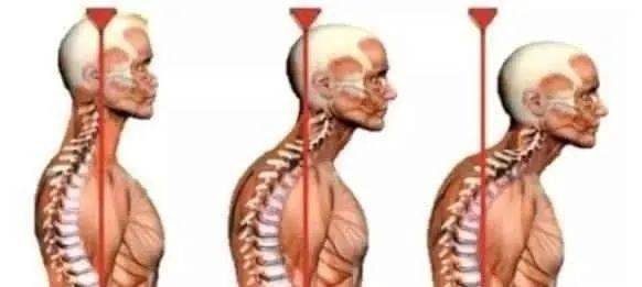 富貴包形成 富貴包形成