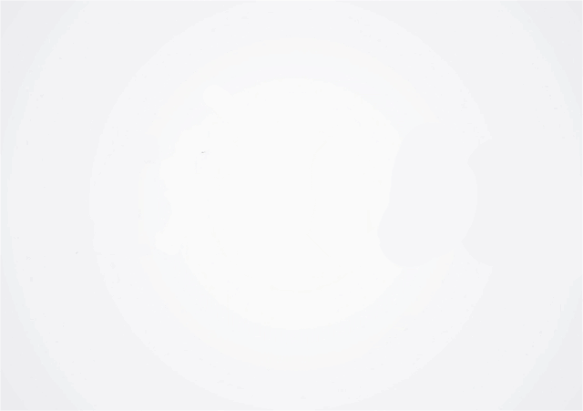 人類進(jìn)化史 人類進(jìn)化史