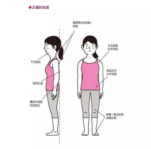 正確站姿 正確站姿