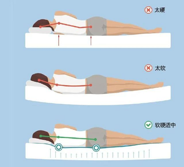 床要軟硬適中 床要軟硬適中