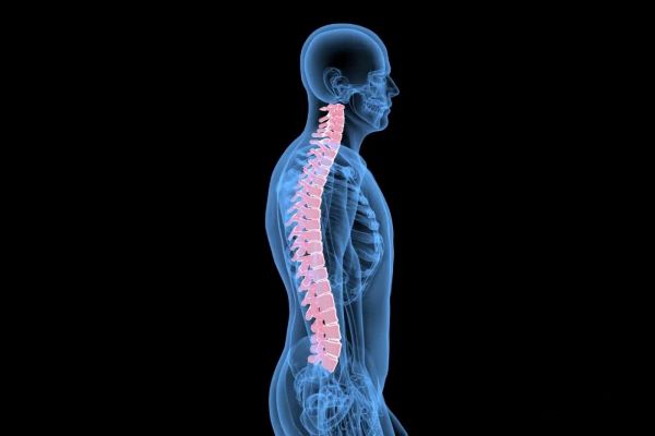 健康脊柱 健康脊柱