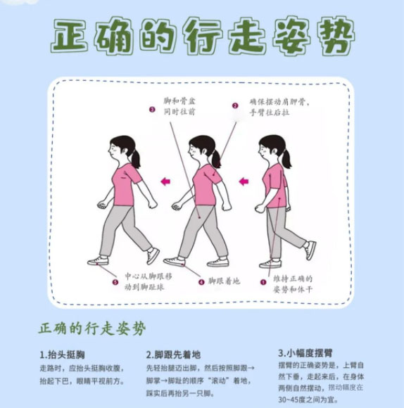 正確行走姿勢(shì) 正確行走姿勢(shì)
