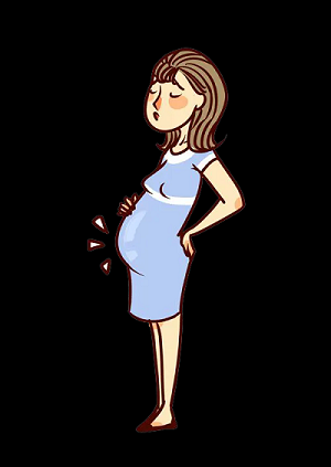 女性孕期 女性孕期
