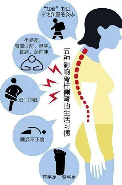 影響脊柱的壞習慣 影響脊柱的壞習慣